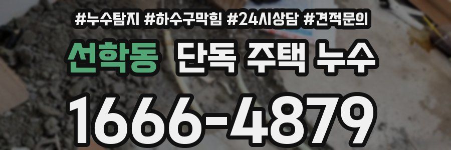 선학동 단독 주택 누수