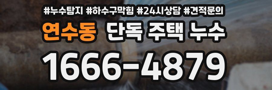 연수동 단독 주택 누수