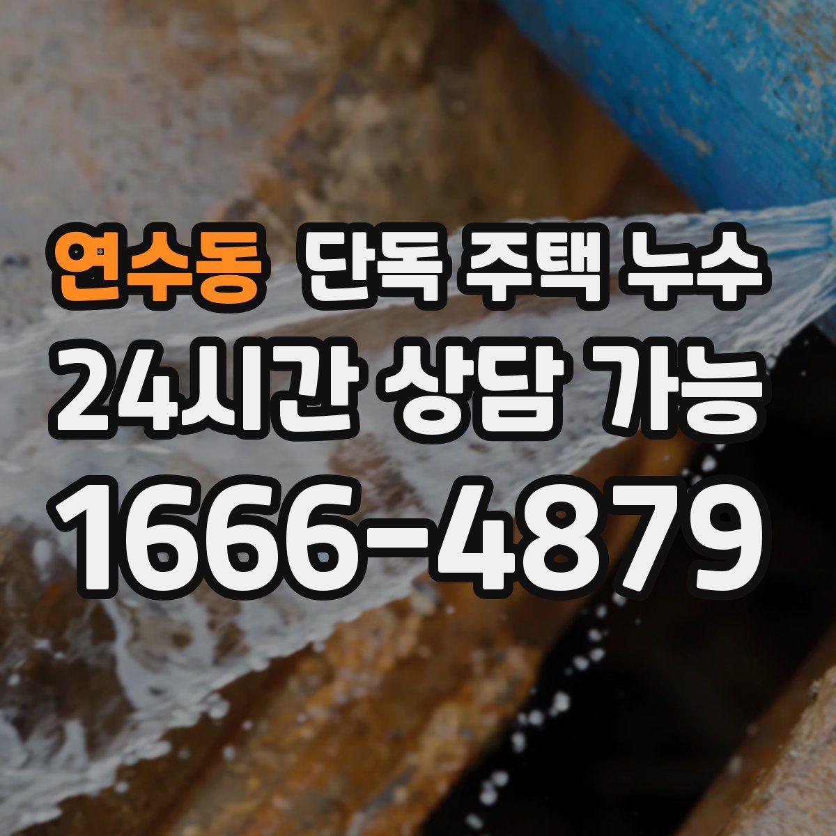 연수동 단독 주택 누수