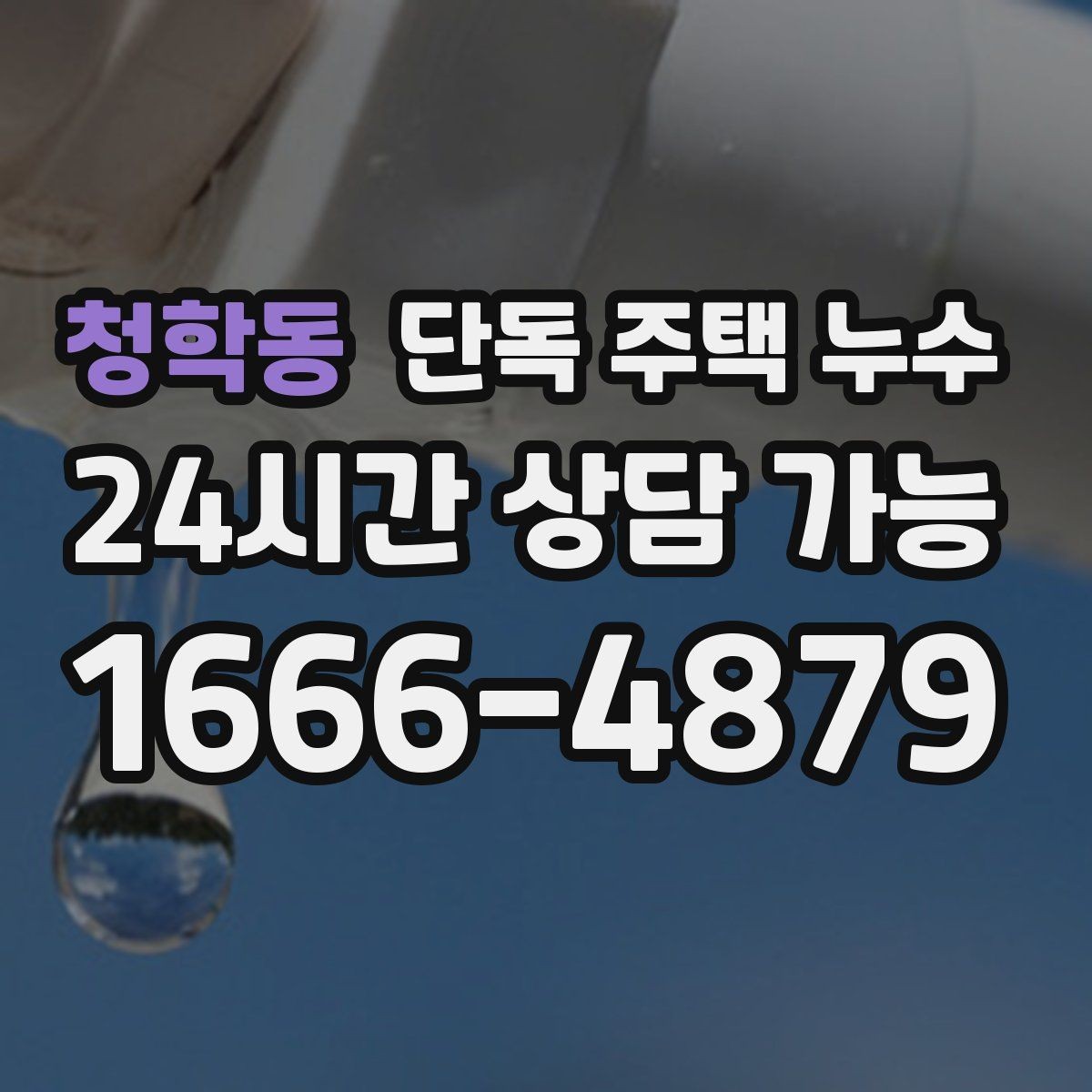청학동 단독 주택 누수 장판 아래 물기가 빠지지 않을 때