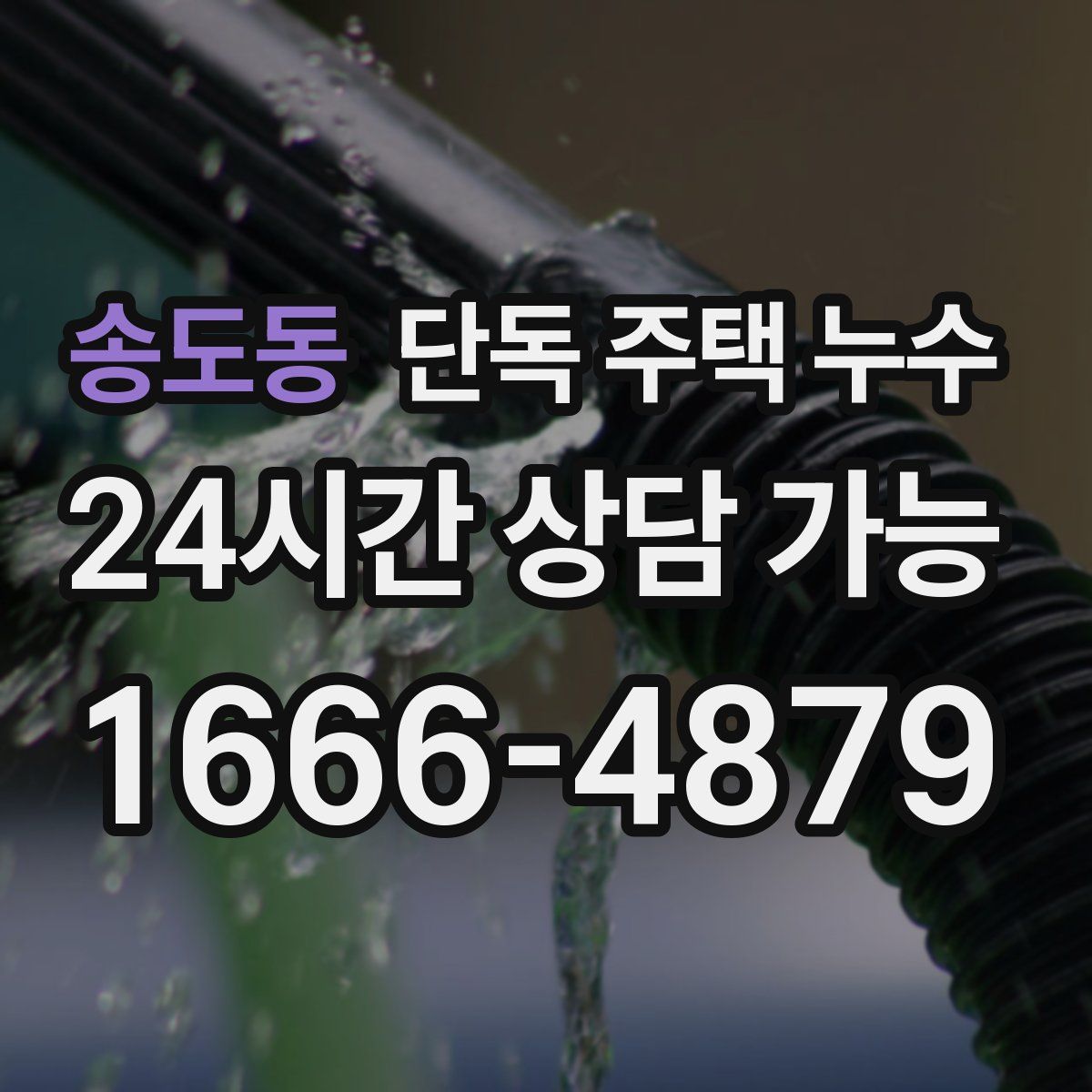 송도동 단독 주택 누수