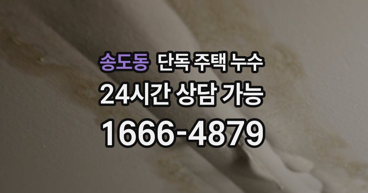 송도동 단독 주택 누수