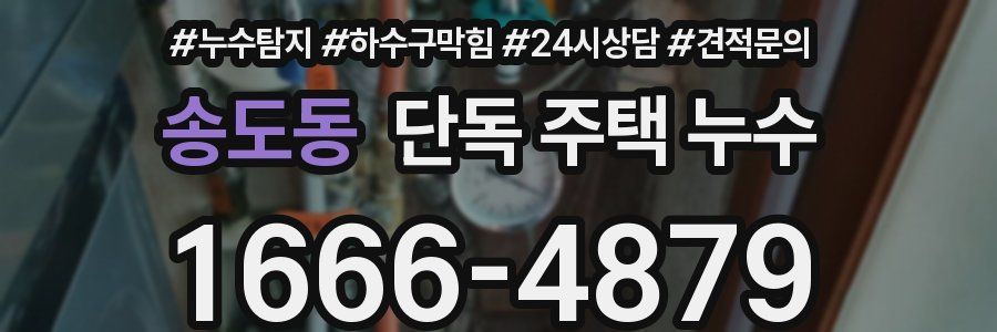 송도동 단독 주택 누수