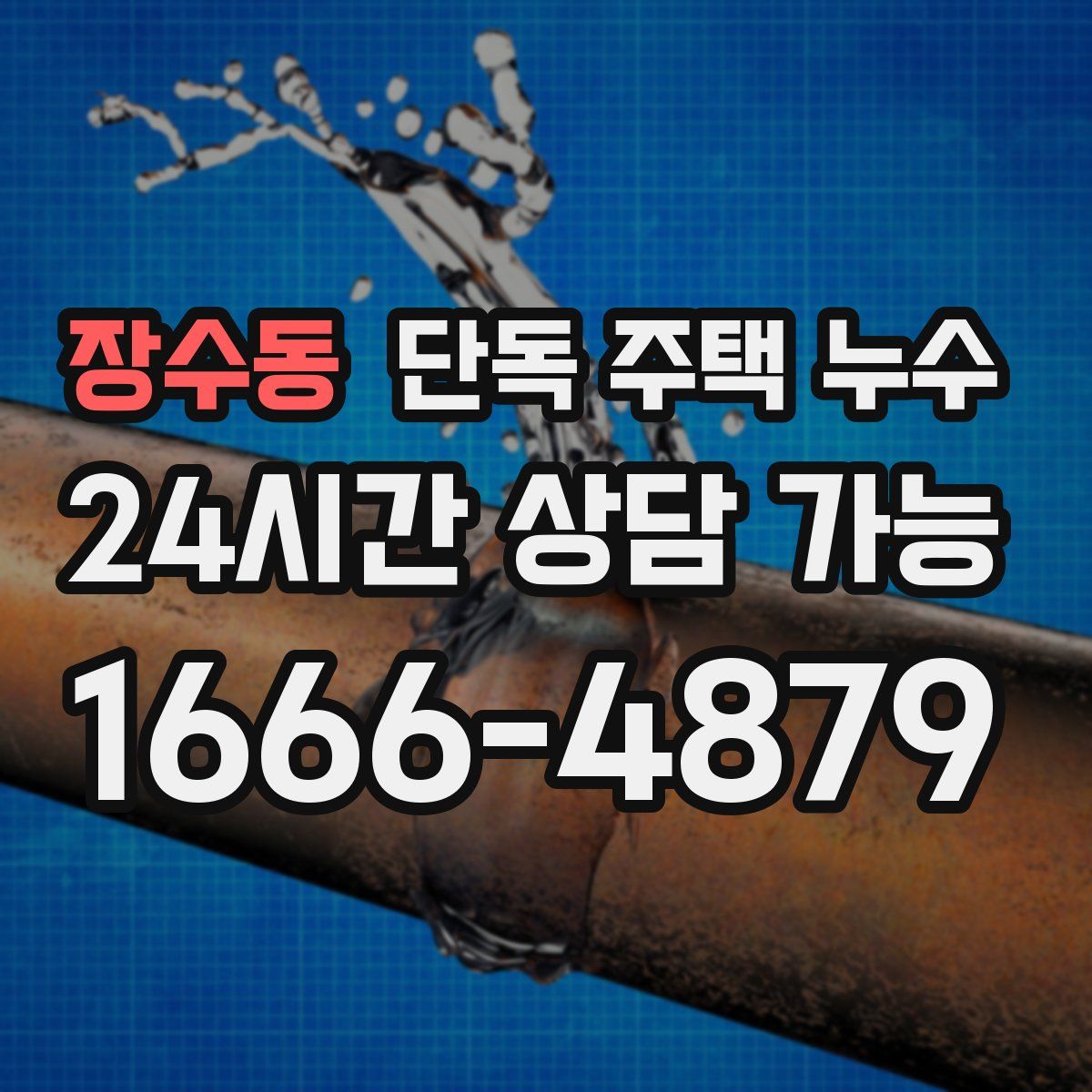 장수동 단독 주택 누수