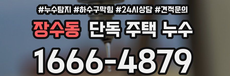 장수동 단독 주택 누수