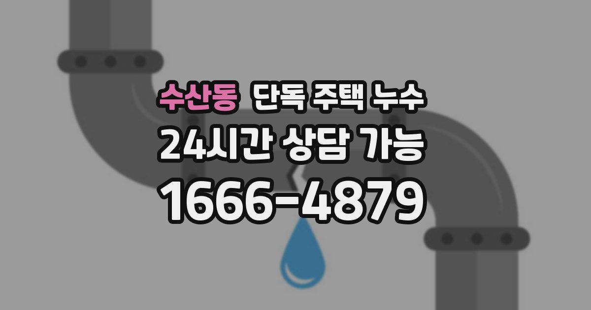 수산동 단독 주택 누수