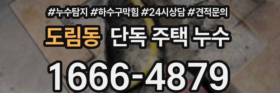 도림동 단독 주택 누수