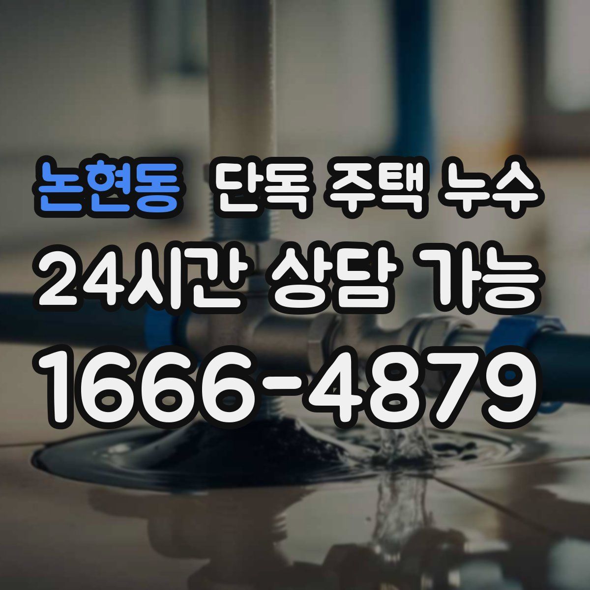 논현동 단독 주택 누수