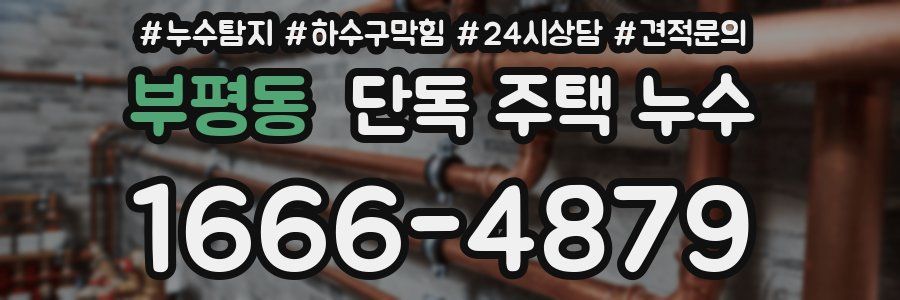 부평동 단독 주택 누수