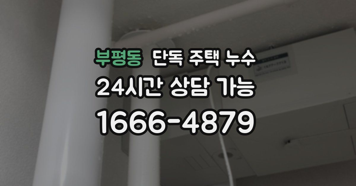 부평동 단독 주택 누수