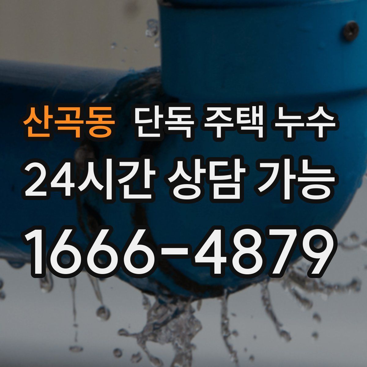 산곡동 단독 주택 누수