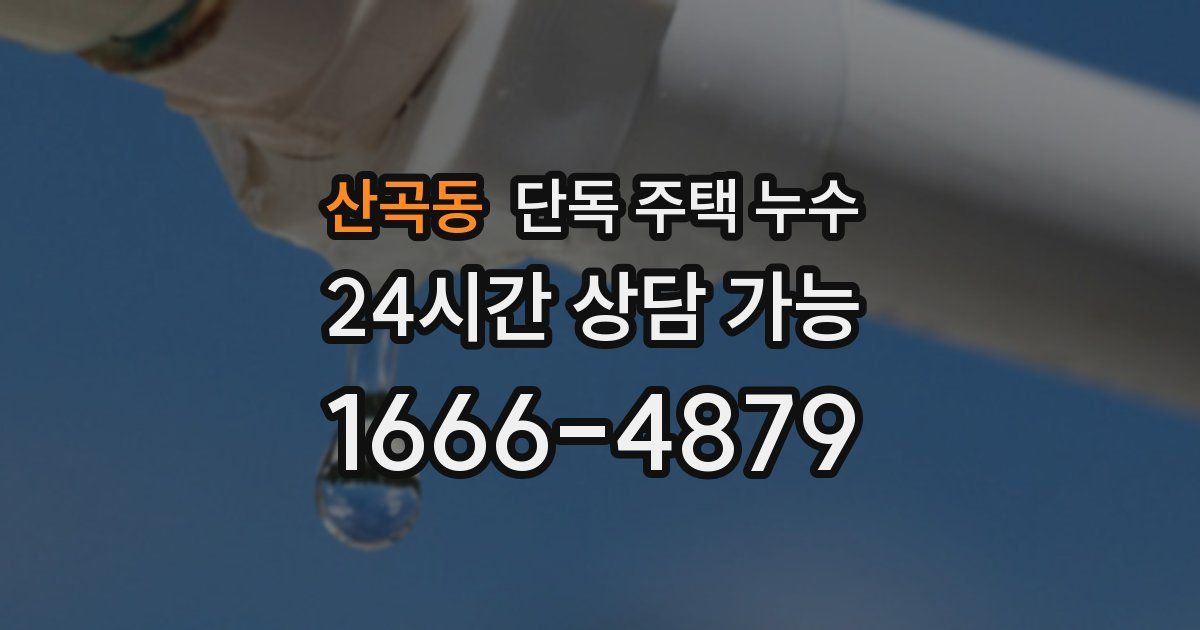산곡동 단독 주택 누수