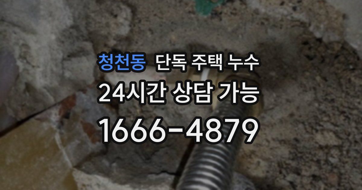 청천동 단독 주택 누수