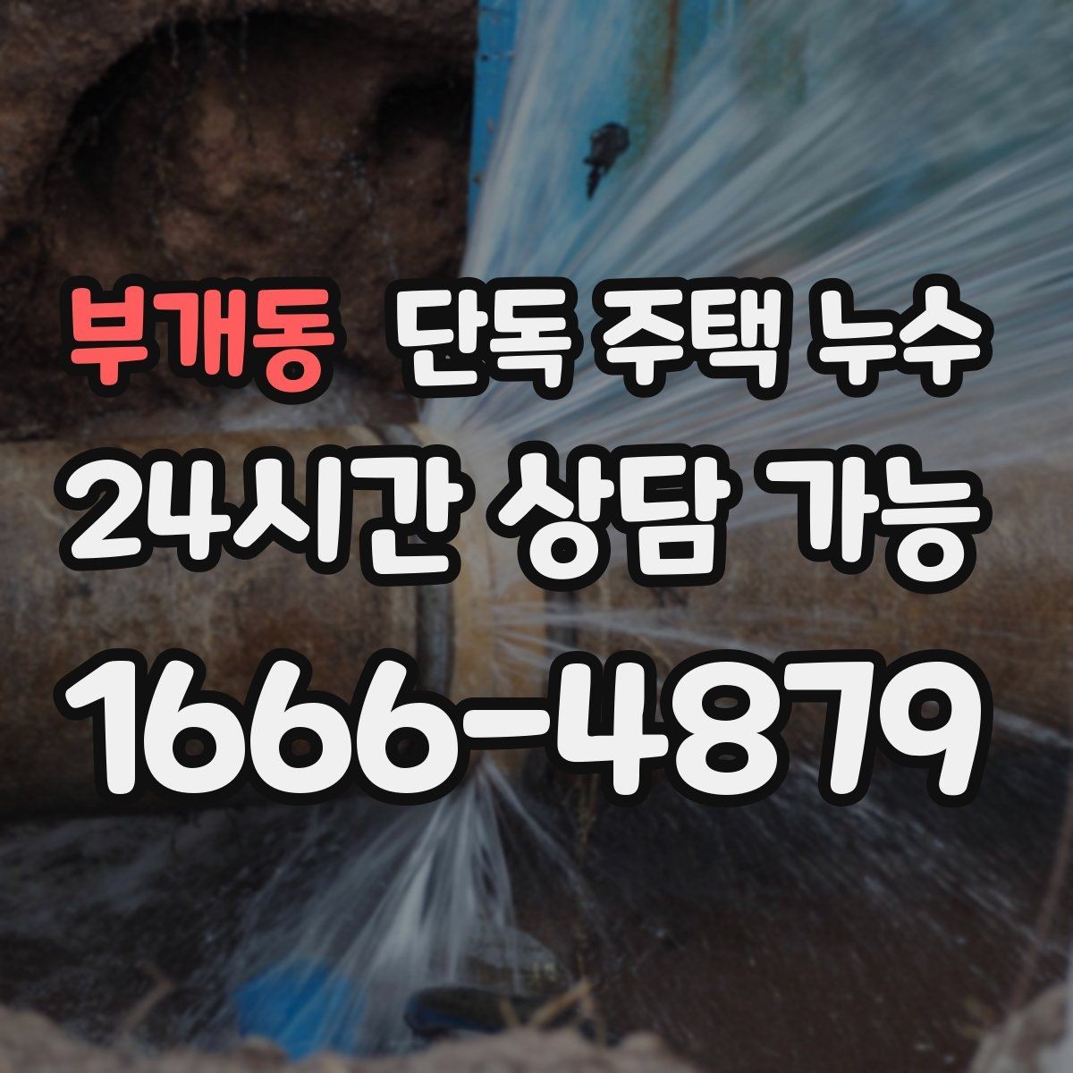 부개동 단독 주택 누수 난방 배관 문제로 바닥이 젖는 경우