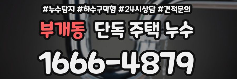 부개동 단독 주택 누수