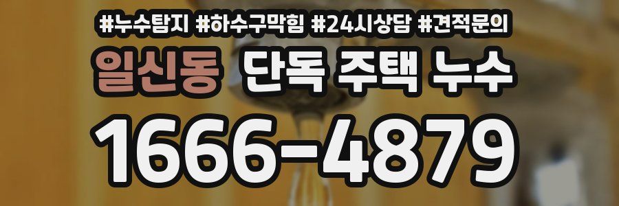 일신동 단독 주택 누수