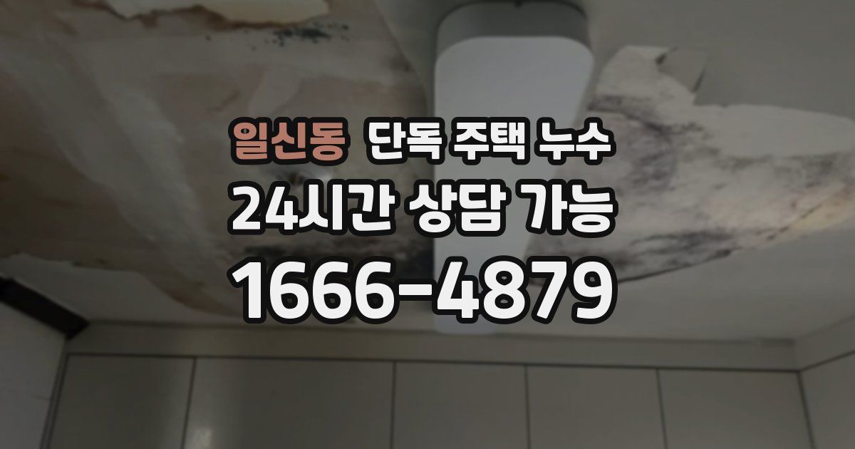 일신동 단독 주택 누수