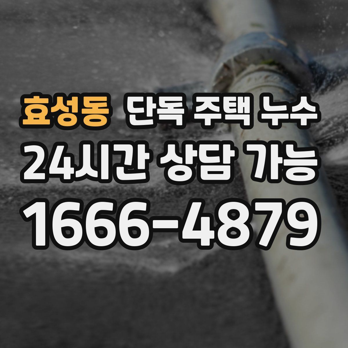 효성동 단독 주택 누수