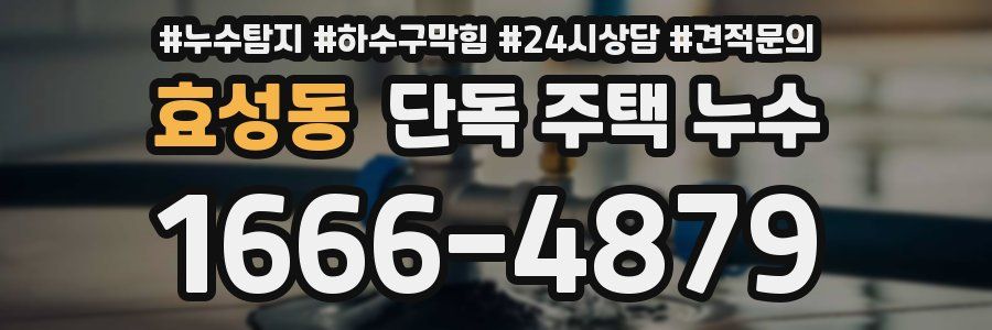 효성동 단독 주택 누수
