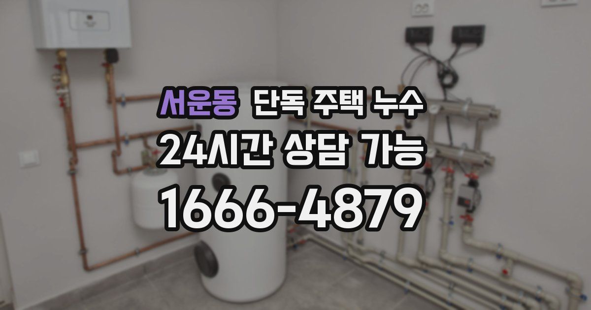 서운동 단독 주택 누수