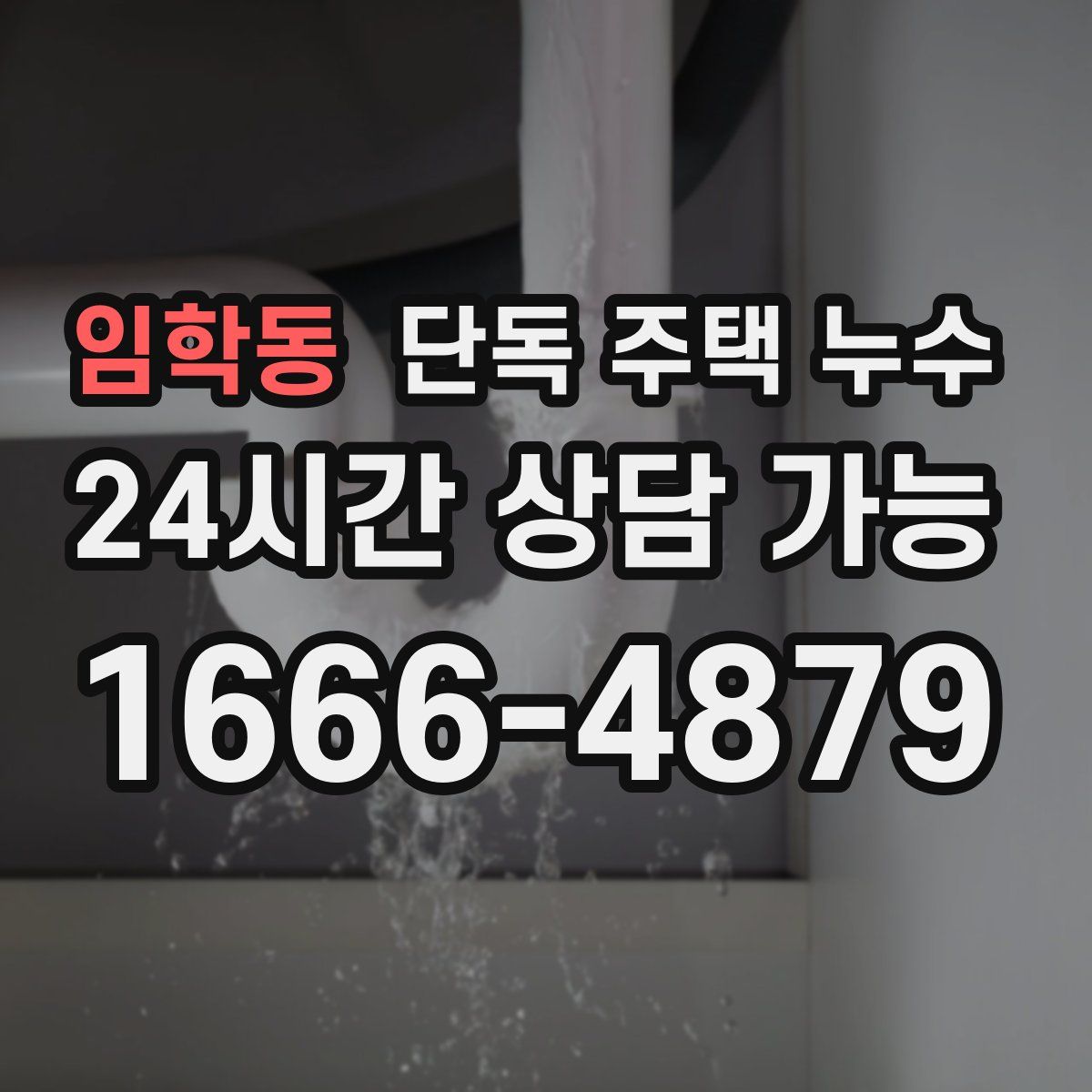 임학동 단독 주택 누수