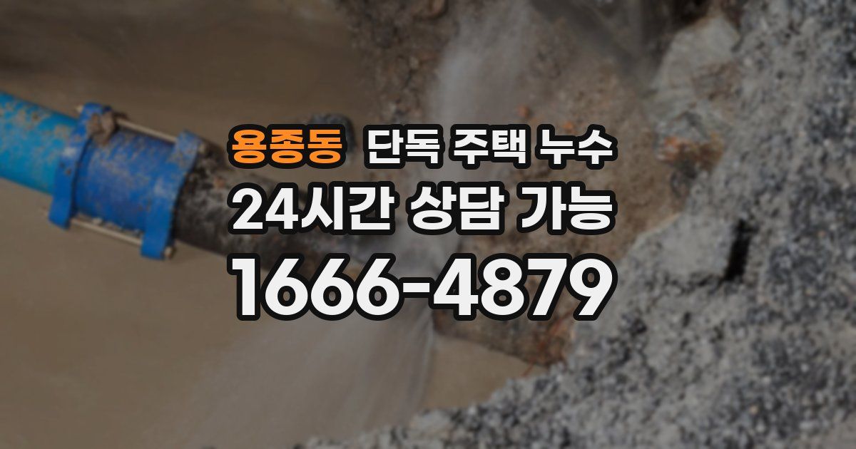 용종동 단독 주택 누수