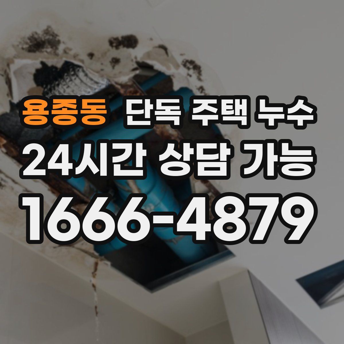 용종동 단독 주택 누수