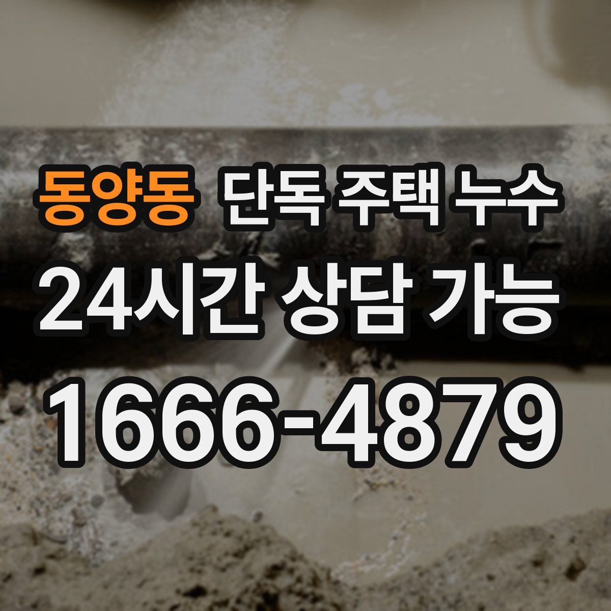 동양동 단독 주택 누수