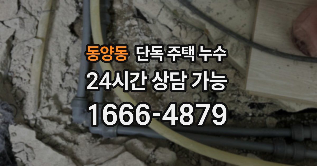 동양동 단독 주택 누수
