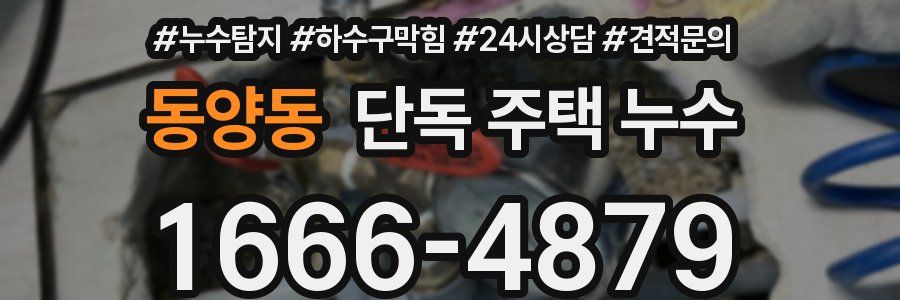 동양동 단독 주택 누수