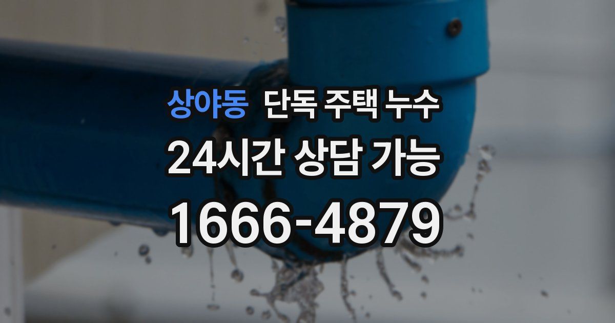 상야동 단독 주택 누수