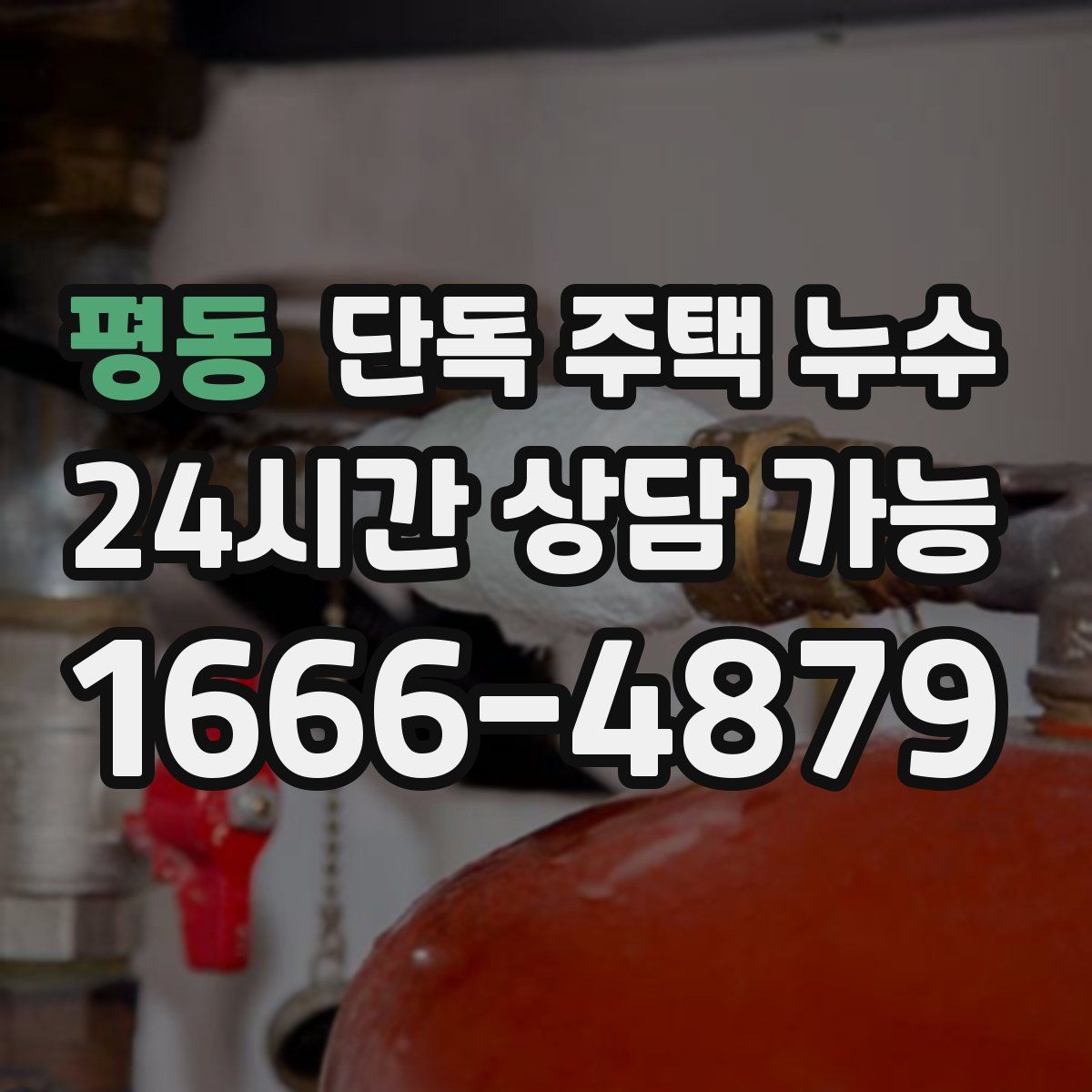 평동 단독 주택 누수