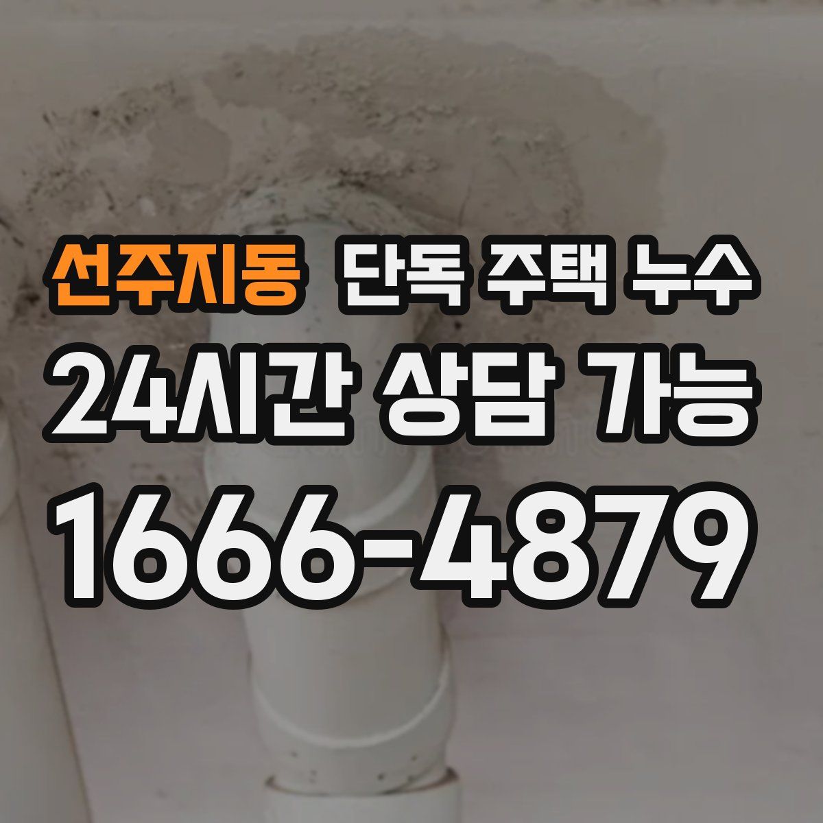 선주지동 단독 주택 누수