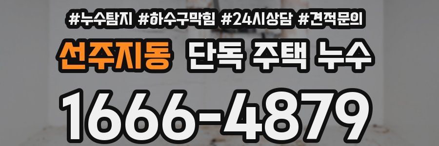 선주지동 단독 주택 누수