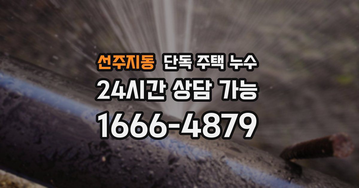선주지동 단독 주택 누수
