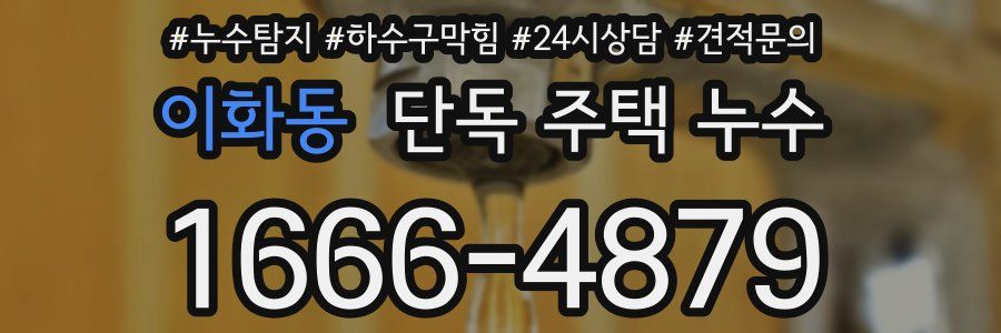 이화동 단독 주택 누수