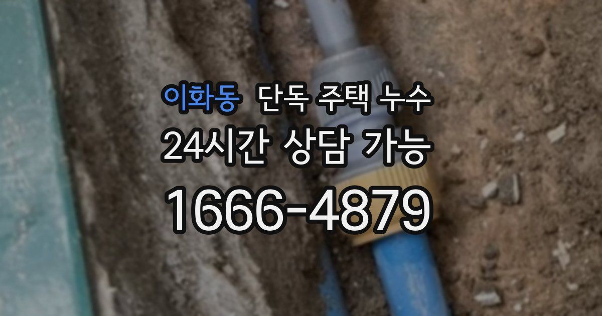 이화동 단독 주택 누수