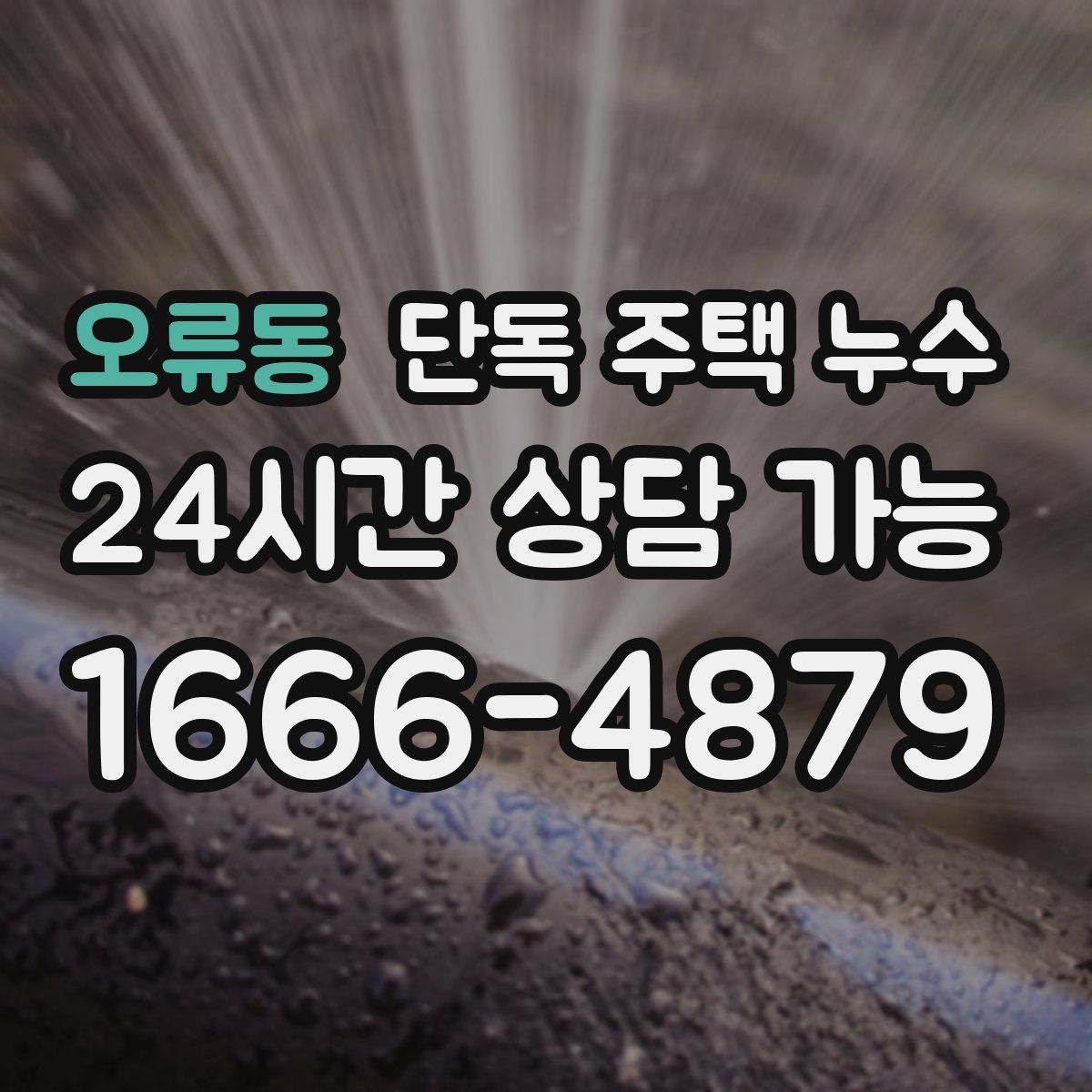 오류동 단독 주택 누수