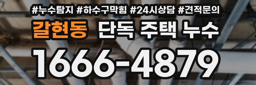 갈현동 단독 주택 누수