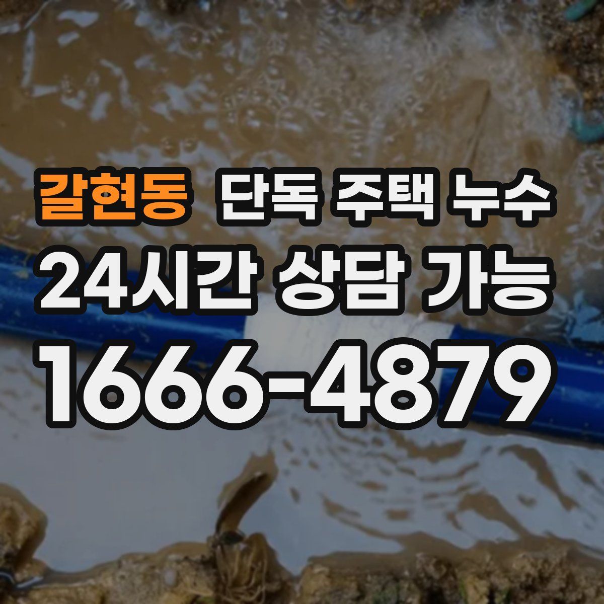 갈현동 단독 주택 누수