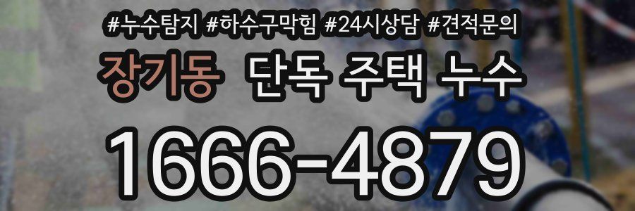 장기동 단독 주택 누수