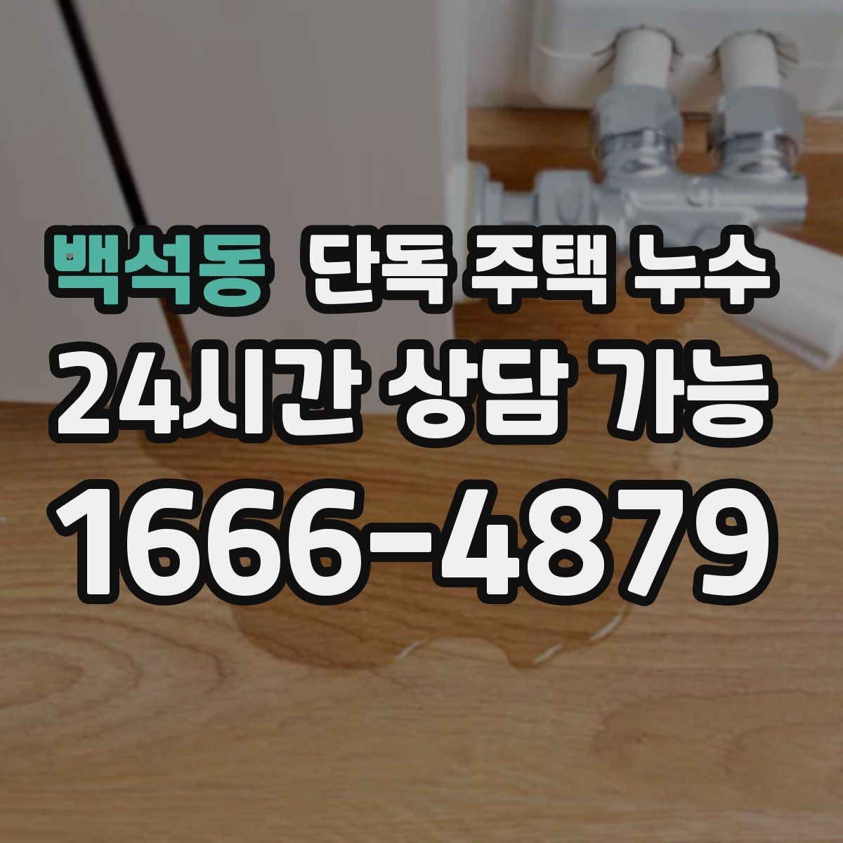 백석동 단독 주택 누수 싱크대 뒤 벽면 변색이 생겼을 때