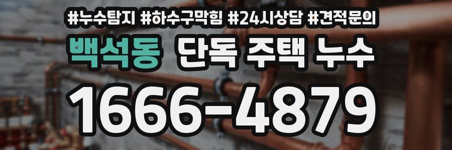 백석동 단독 주택 누수