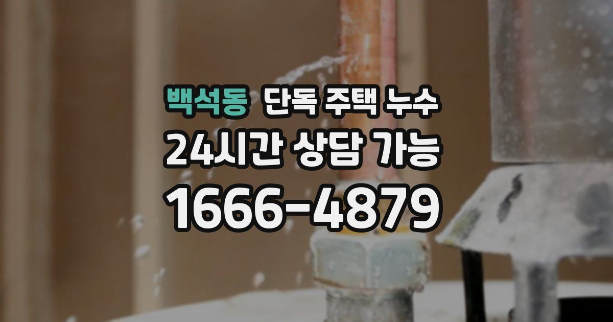 백석동 단독 주택 누수