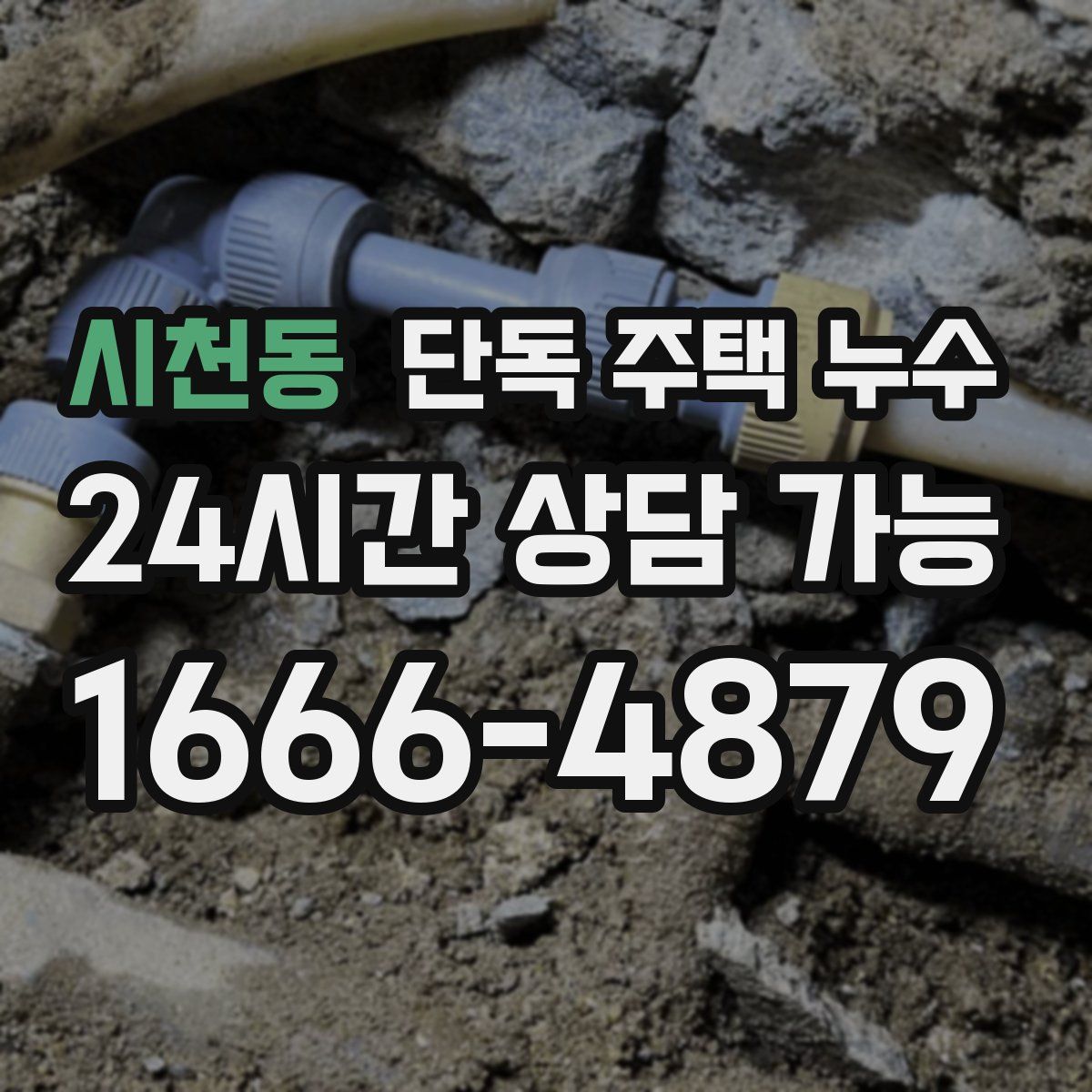 시천동 단독 주택 누수