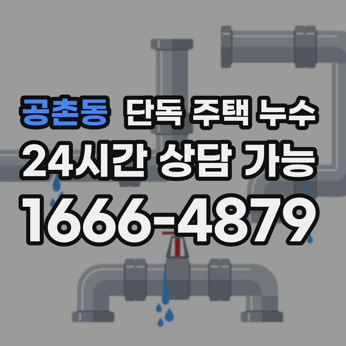 공촌동 단독 주택 누수