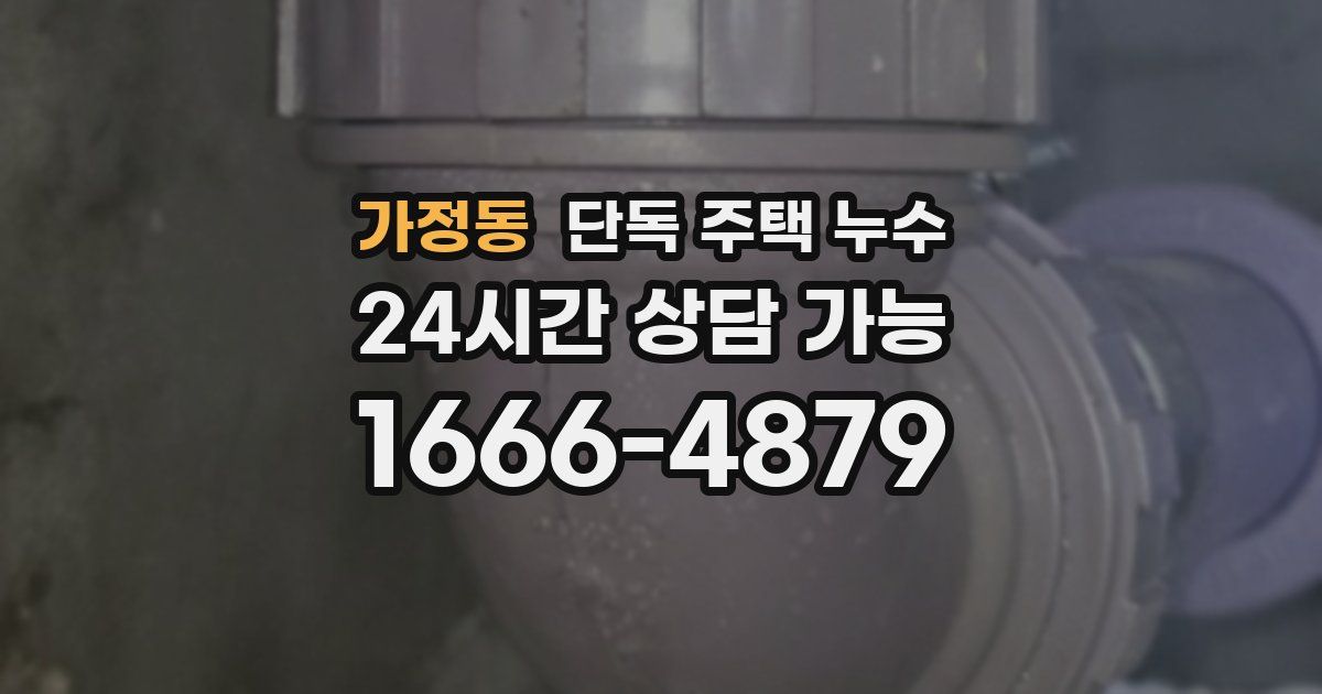 가정동 단독 주택 누수