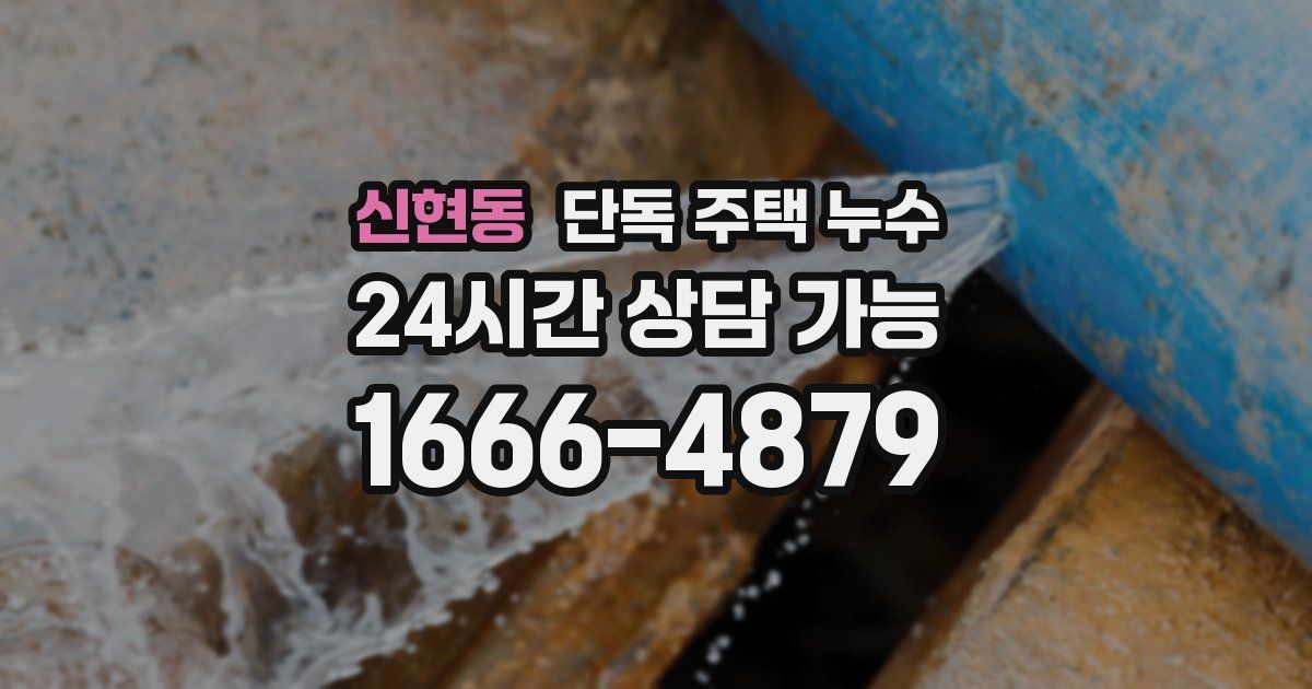 신현동 단독 주택 누수