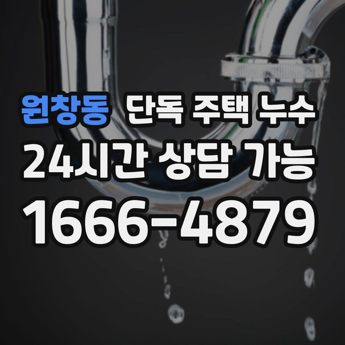 원창동 단독 주택 누수