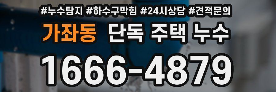 가좌동 단독 주택 누수